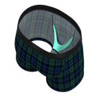 The Black Watch | Tartan Plaid Youth Boxer Briefs - Shinesty