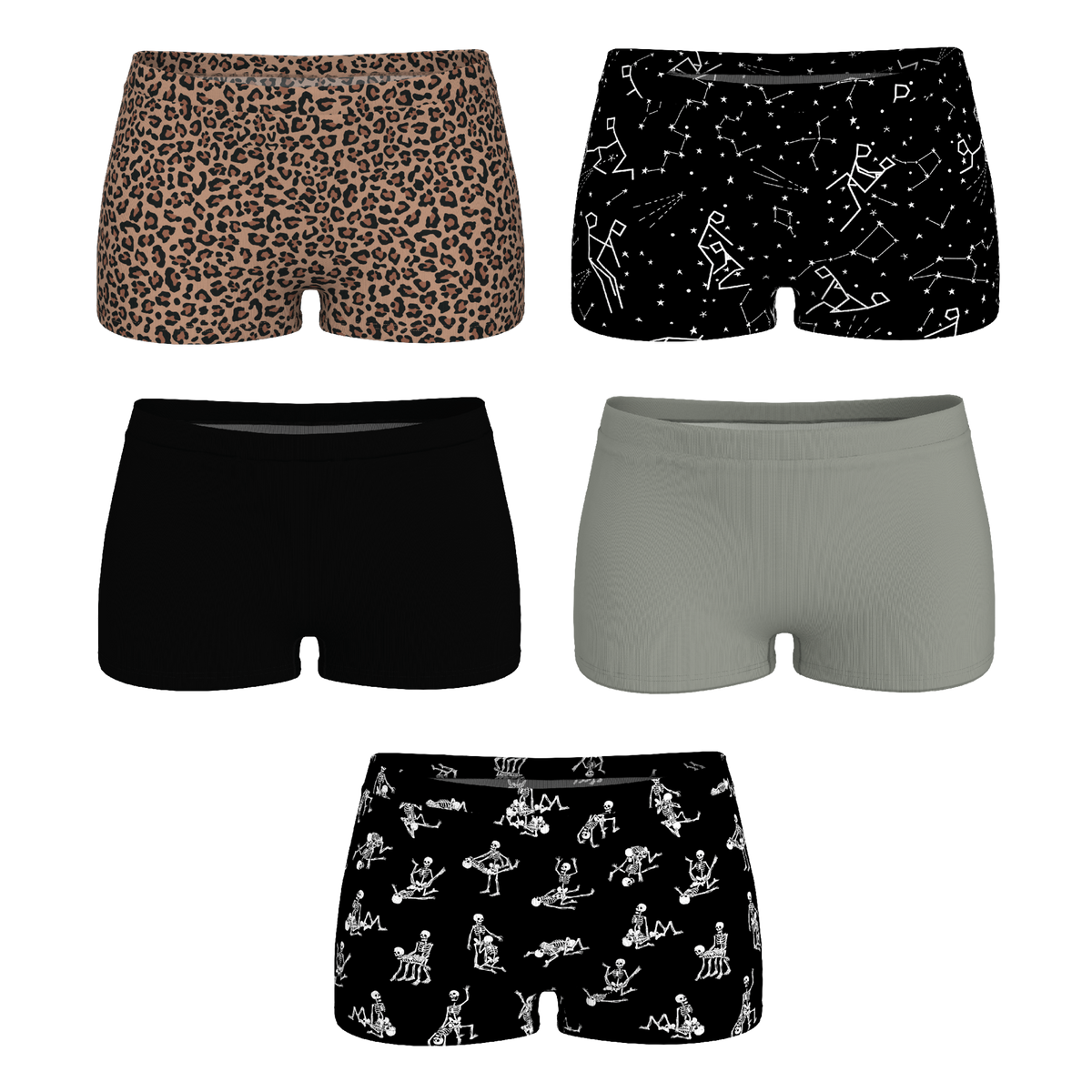 The Historical Bests | Boyshort Underwear 5 Pack - Shinesty