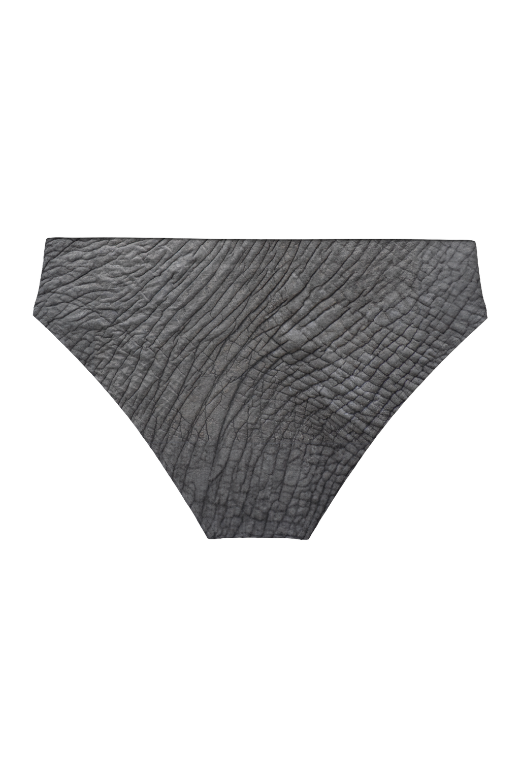 The Junk Trunk | Elephant Ball Hammock® Pouch Swim Briefs - Shinesty