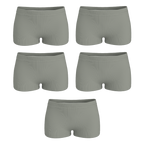 The Manzanilla | Boyshort Underwear 5 Pack - Shinesty