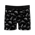 The Paleontologist | Glow in the Dark Dinosaurs Youth Boxer Briefs - Shinesty