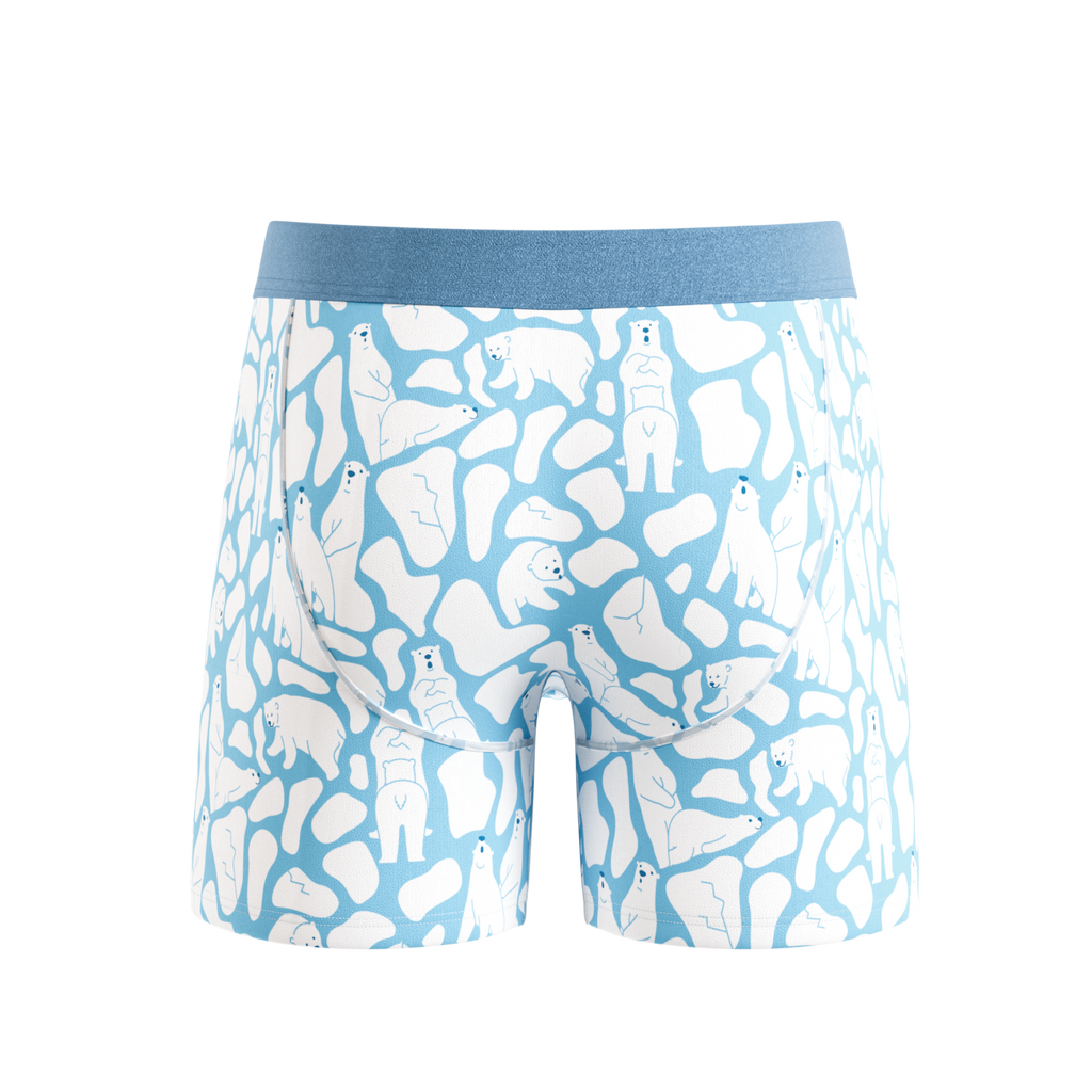 The Polar Polka | Polar Bear Scene Ball Hammock® Pouch Underwear With Fly - Shinesty
