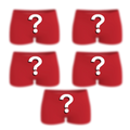 The Mystery Bundle | Boyshort Underwear 5 Pack - Shinesty