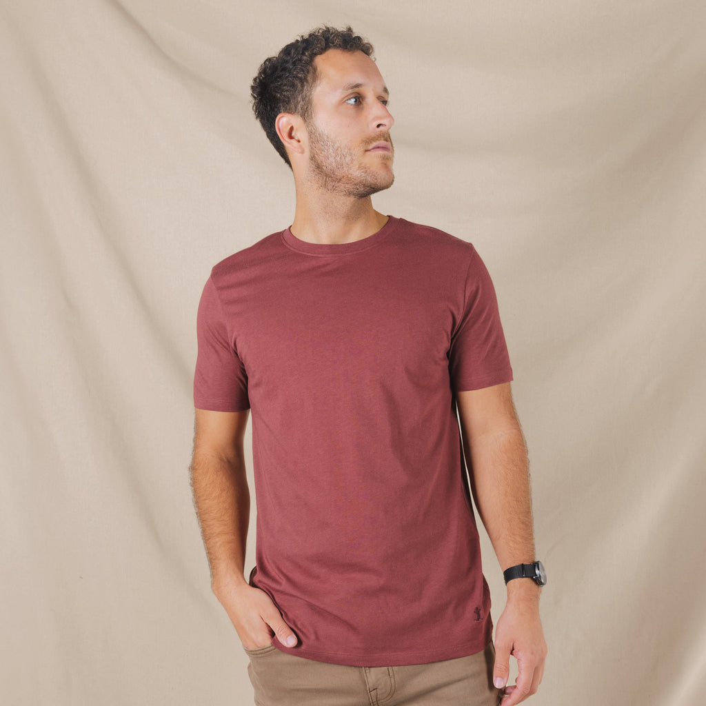 The Apple Butter | Rust Everyman™ T Shirt - Shinesty
