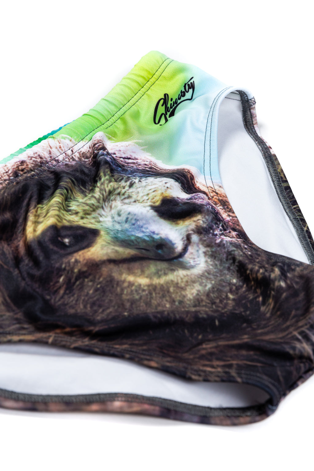 The Quick And Sexy Sloth | Men's Swim Brief - Shinesty