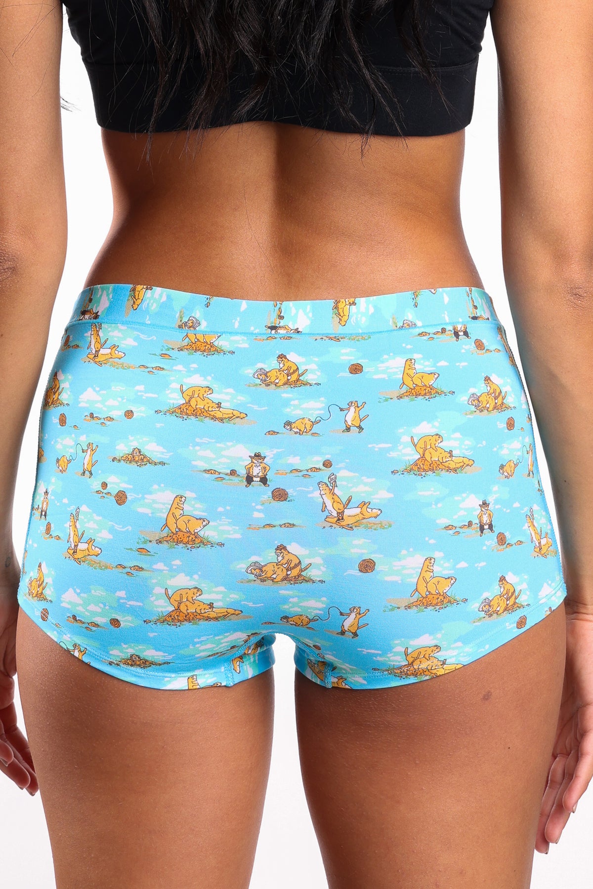 The Brokeback Mounted | Prairie Dog Modal Boyshort Underwear - Shinesty