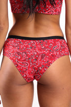 The Outlaw | Naughty Paisley Cheeky Underwear - Shinesty